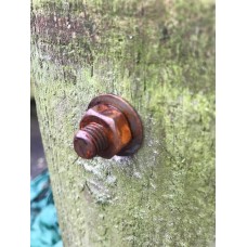 Threaded bar cache with 2ml Screw top Cache (Pre-rusted)